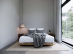Micro cabin ADU interior — loft and vaulted ceiling above the living area