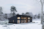 Midcentury modern floor plan rear angle view with black exterior, large glazed rear facade, concrete patio and fire pit seating